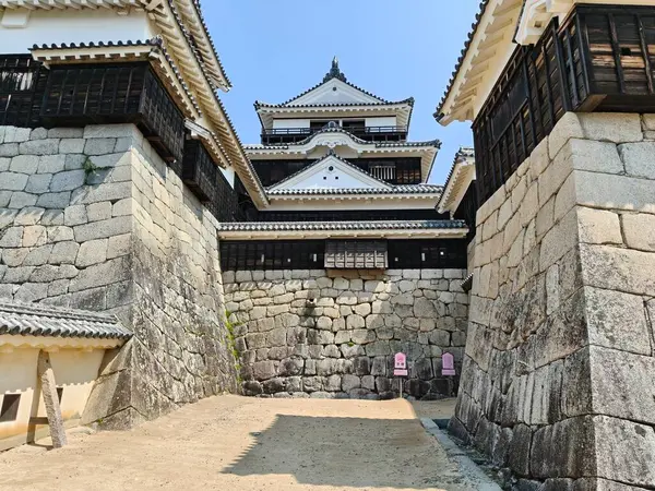 31 Mayıs 2025, Matsuyama, Japonya - Matsuyama Şatosu Görüntü