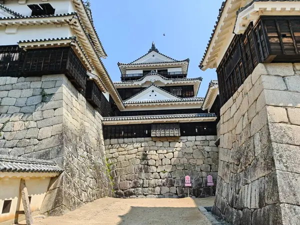 31 Mayıs 2025, Matsuyama, Japonya - Matsuyama Şatosu Görüntü