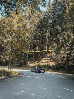 Üstü açık siyah bir araba, uzun çam ve yaprak döken ağaçlarla çevrili, benekli güneş ışığı altında bir orman yolu kıvrımında hızla ilerliyor. Doğada maceralı bir yolculuğun mükemmel bir tasviri..