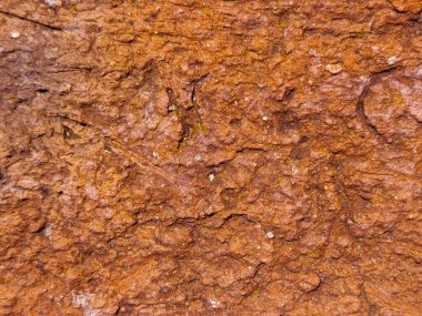 Yıpranmış toprak ya da kayaya benzeyen dokulu, kırmızımsı kahverengi bir yüzeye yakından bakmak. Yüzeyde çeşitli oyuklar ve desenler var. Doğal erozyon ve organik maddeler sergileniyor. Kırmızı.