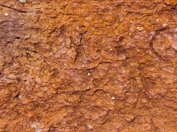 Yıpranmış toprak ya da kayaya benzeyen dokulu, kırmızımsı kahverengi bir yüzeye yakından bakmak. Yüzeyde çeşitli oyuklar ve desenler var. Doğal erozyon ve organik maddeler sergileniyor. Kırmızı.