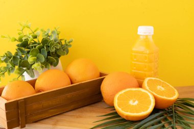 Portakal, portakal suyu, yeşillik ve palmiye yaprağı içeren parlak ve neşeli yemek kompozisyonu. Güneşli sarı arka plan her elde tazeliği, sağlığı ve doğal enerjiyi vurgulayan canlı bir ton oluşturur.