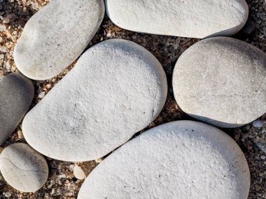 Sandy Surface 'deki pürüzsüz gri taşlar kumlu bir yüzeyde pürüzsüz, yuvarlak taşlar koleksiyonu gri ve beyazın çeşitli tonlarını sergiliyor. Taşlar şekil ve boyut olarak farklılık göstererek doğal bir seren oluşturur.