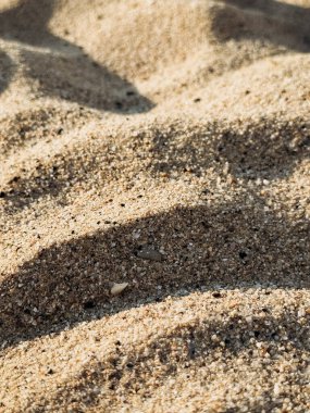 Yumuşak dalgalar ve taneciklerle dokulu kumun yakın görüntüsü doğal bir sahil ortamı sergiliyor..