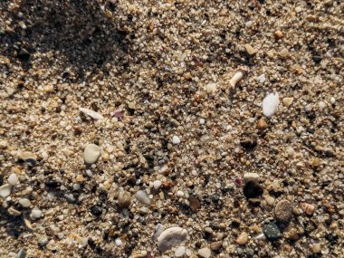 Makro yakın plan kumsal kumsalı, dağınık çakıl taşları ve deniz kabukları ekolojik tasarım için ideal arka plan ambalaj dokuları ve iyi markalaşma malzemeleri.