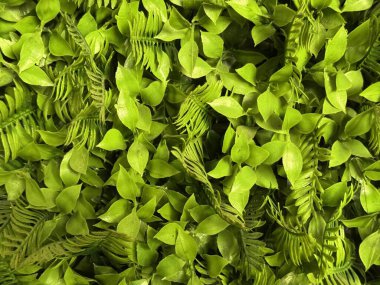 Modern çevre dostu tasarımlar için kullanılan plastik yapraklardan ve eğreltiotlarından yapılmış sentetik yeşil duvarların yakın çekimi sürdürülebilir ve taze botanik görsellere sahip doğal esinlenilmiş modeller veya ürün sahneleri