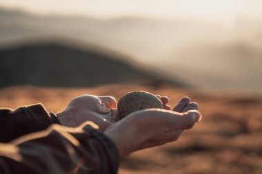 Elleri, sıcak altın saat güneşi altında yumuşak bir taşı nazikçe tutarken bulanık doğal bir arka plan ile dikkatlilik ve doğa severler için minimum barışçıl ve meditasyon sahnesi yaratıyor.