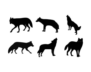 Çeşitli Tasarım Pozisyonlarında Kurtların Altı Silueti