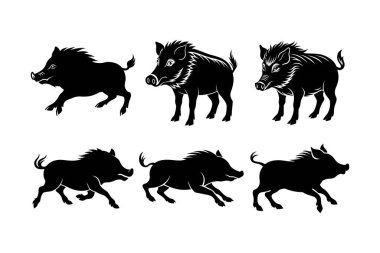 Altı Vahşi Domuzların Kaçan ve Duran Silueti