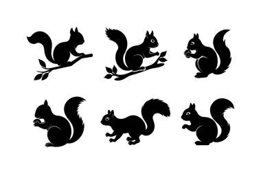 Sonbahar Tasarımları İçin Mükemmel Dallarda Altı Sincap Silueti