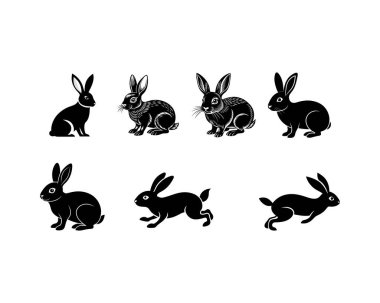 Çeşitli Pozisyonlarda Siluet Tavşan Takımı Markalaşma Tasarım ve Dekorasyon İçin İdeal