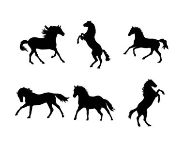 Siluet At Zarif Siyah Aygır Grafikleri Pozlandırdı