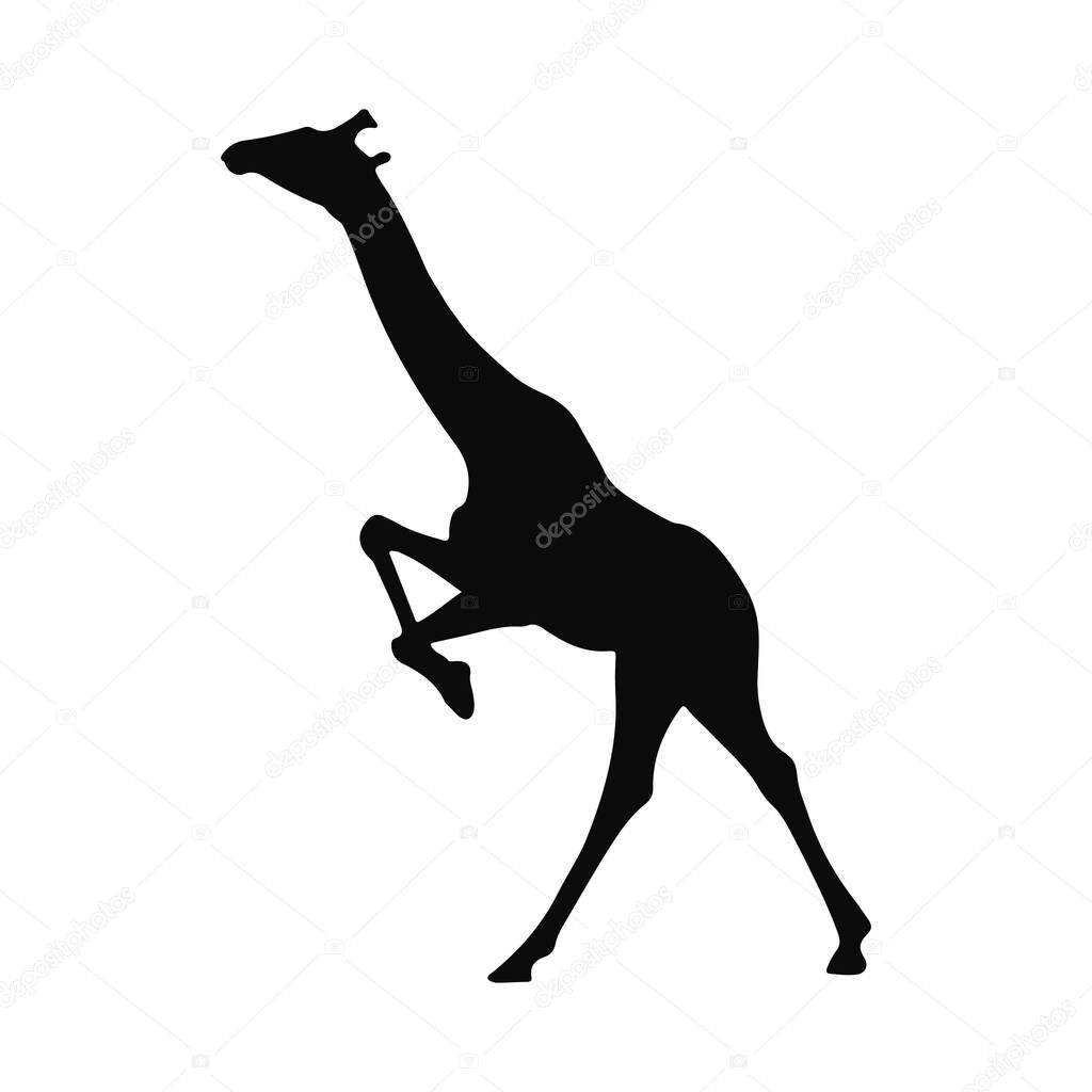 Silhouette of a Giraffe in Motion Elegant Wildlife Image