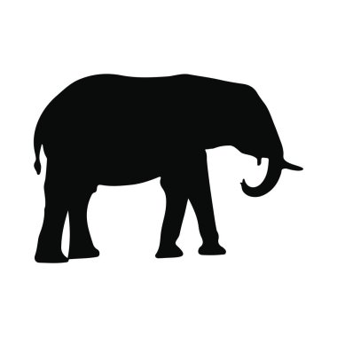 Bir Fil Afrika Vahşi Yaşam Resminin Silueti