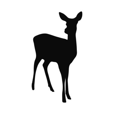 Zarif ve zarif bir geyiğin silueti.