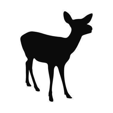 Bir Fawn Vahşi Yaşam Resminin Silueti