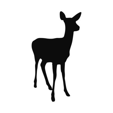 Zarif bir geyik vahşi hayatının silueti.