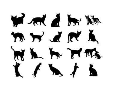 Çeşitli Pozisyonlarda Zarif Kara Kedilerin Siluet Koleksiyonu