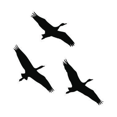 Wild Life Image 'da üç vinç silueti