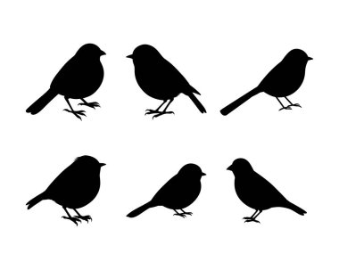 Doğa Tasarımları İçin Mükemmel Altı Kuşun Silüeti