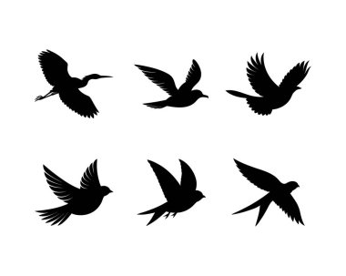 Siluet Kuşlar Uçuş Tasarım Elementleri Ayarlandı