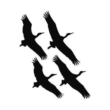 Wild Life Image Uçuşundaki Dört Turna Silueti