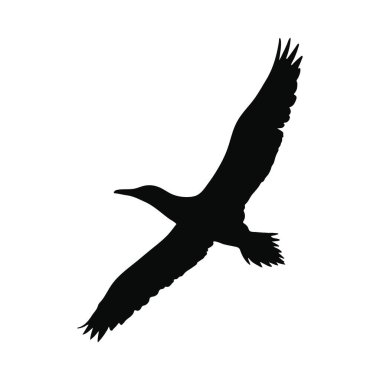 Tasarım Projeleri için Uçuş Silüetinde Majestic Bird