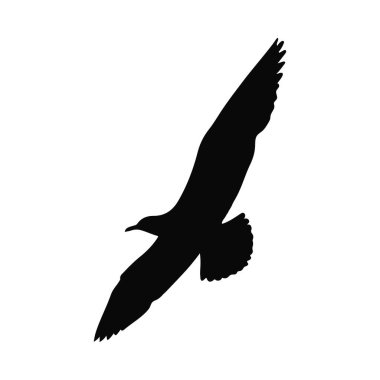 Görkemli Martı Uçuş Silueti Tasarım Resminde