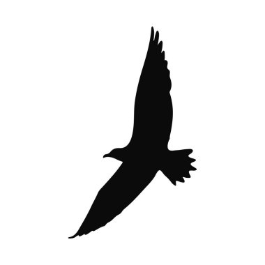 Majestic Bird Silhouette Logo ya da Tasarım İçin Mükemmel Uçuşta