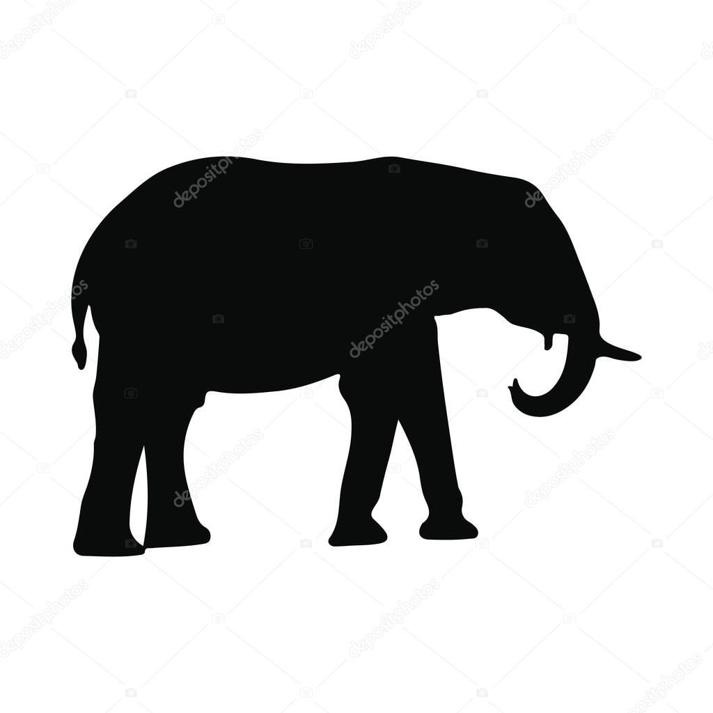 Silhouette of an Elephant African Wildlife Image