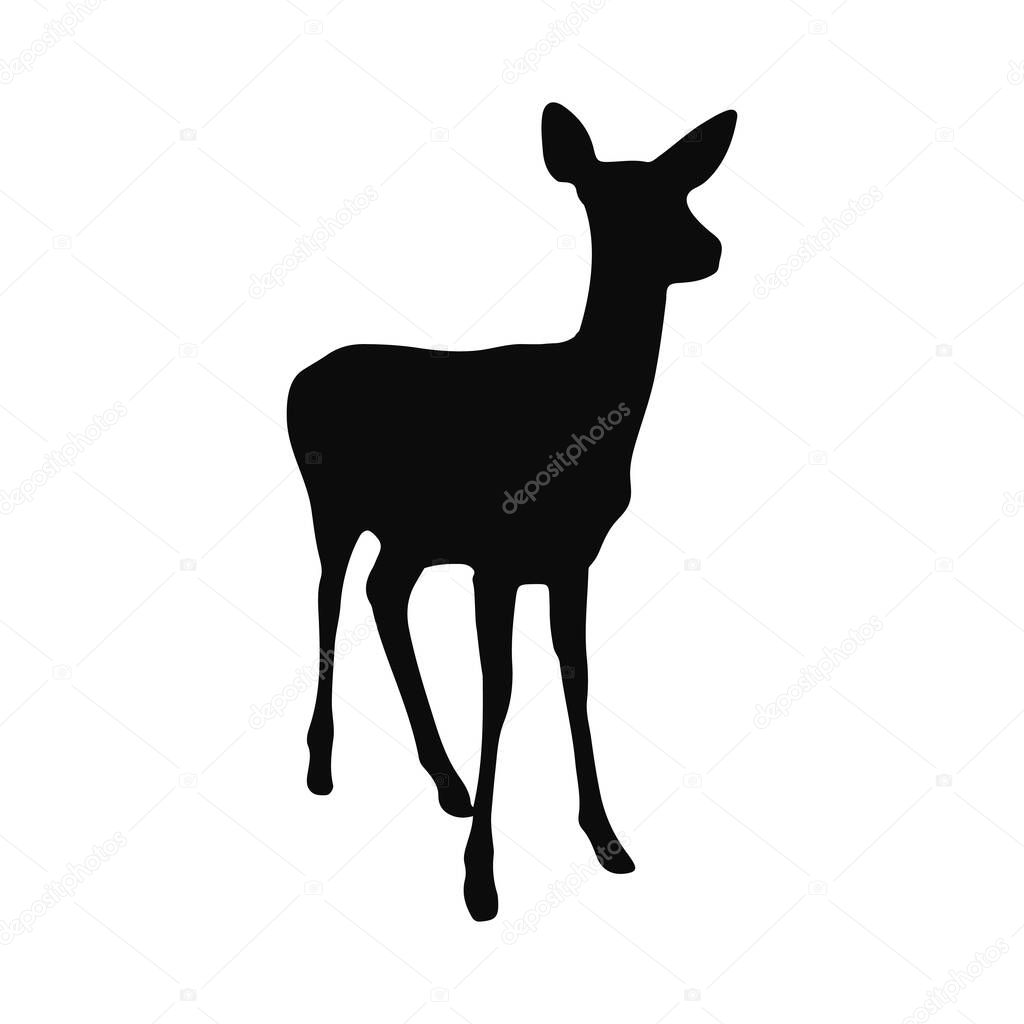 Silhouette of a graceful deer wildlife image