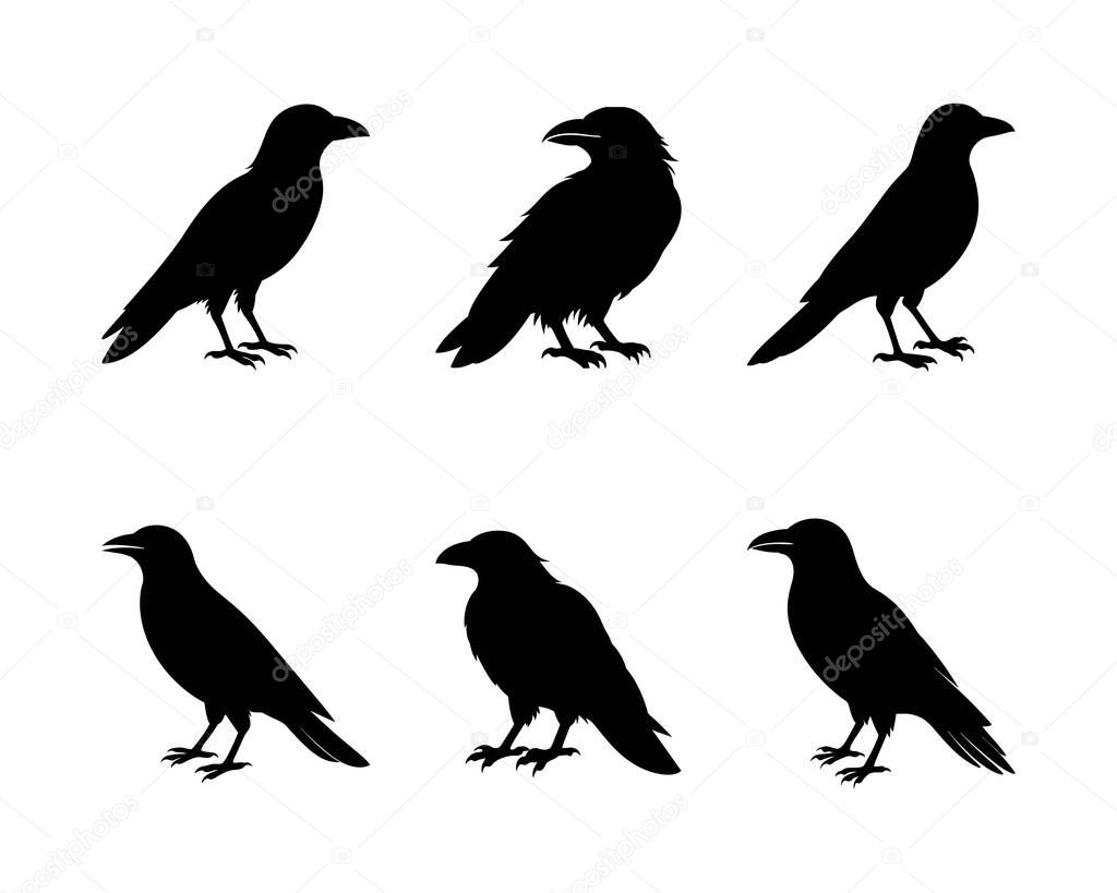 Six Crow Silhouettes Black Bird Icons for Design