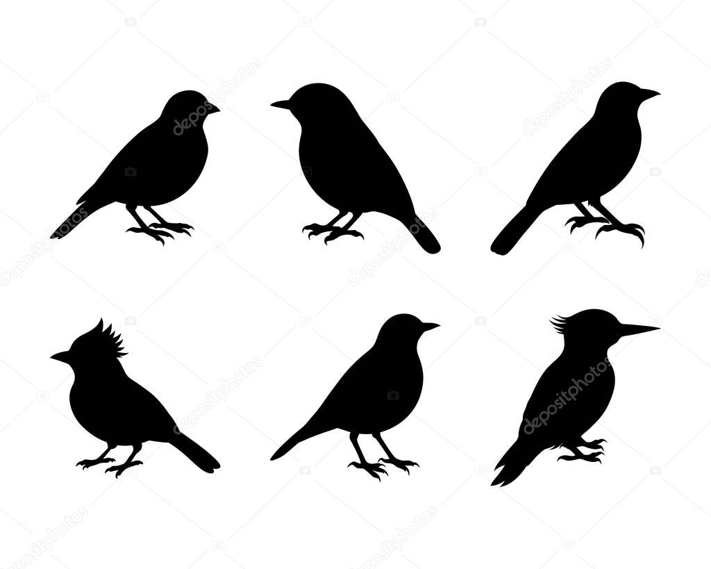 Six Bird Silhouettes Perfect for Nature Designs