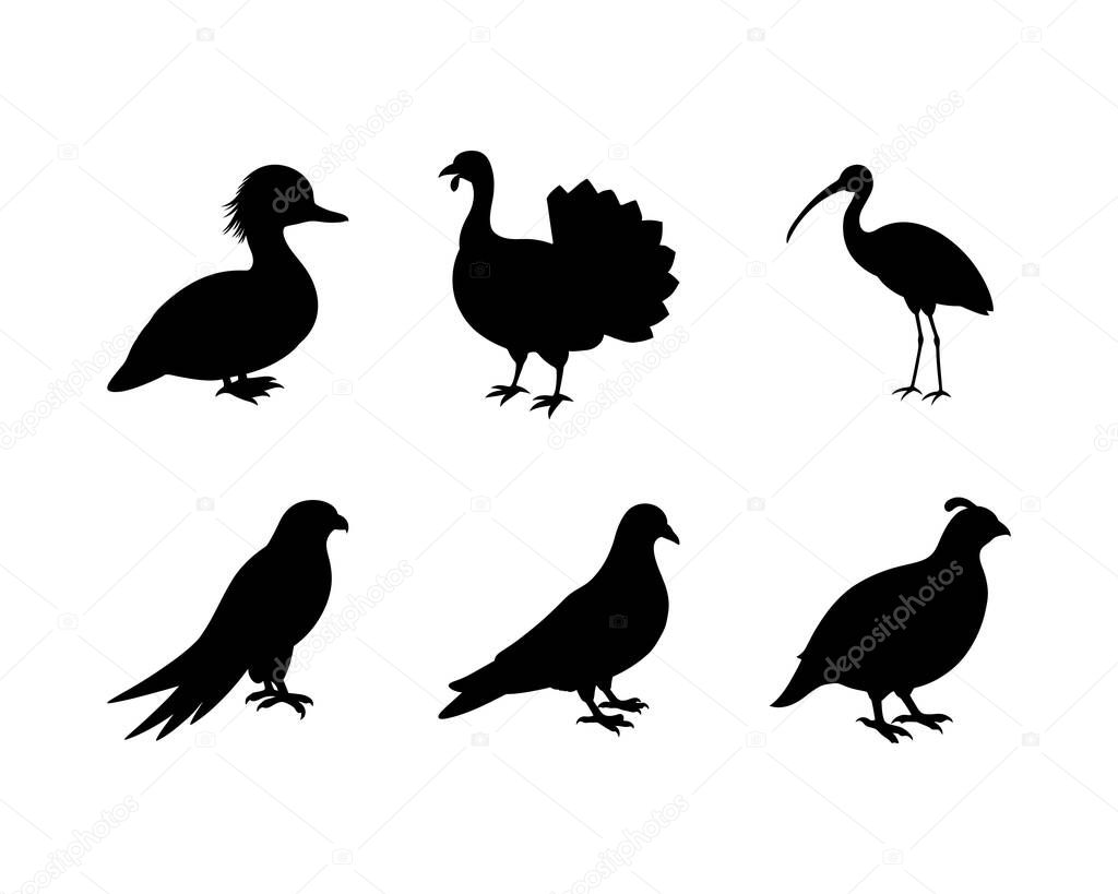 Silhouettes of Various Birds Duck Turkey Ibis Falcon Dove Quail Perfect for Nature Designs