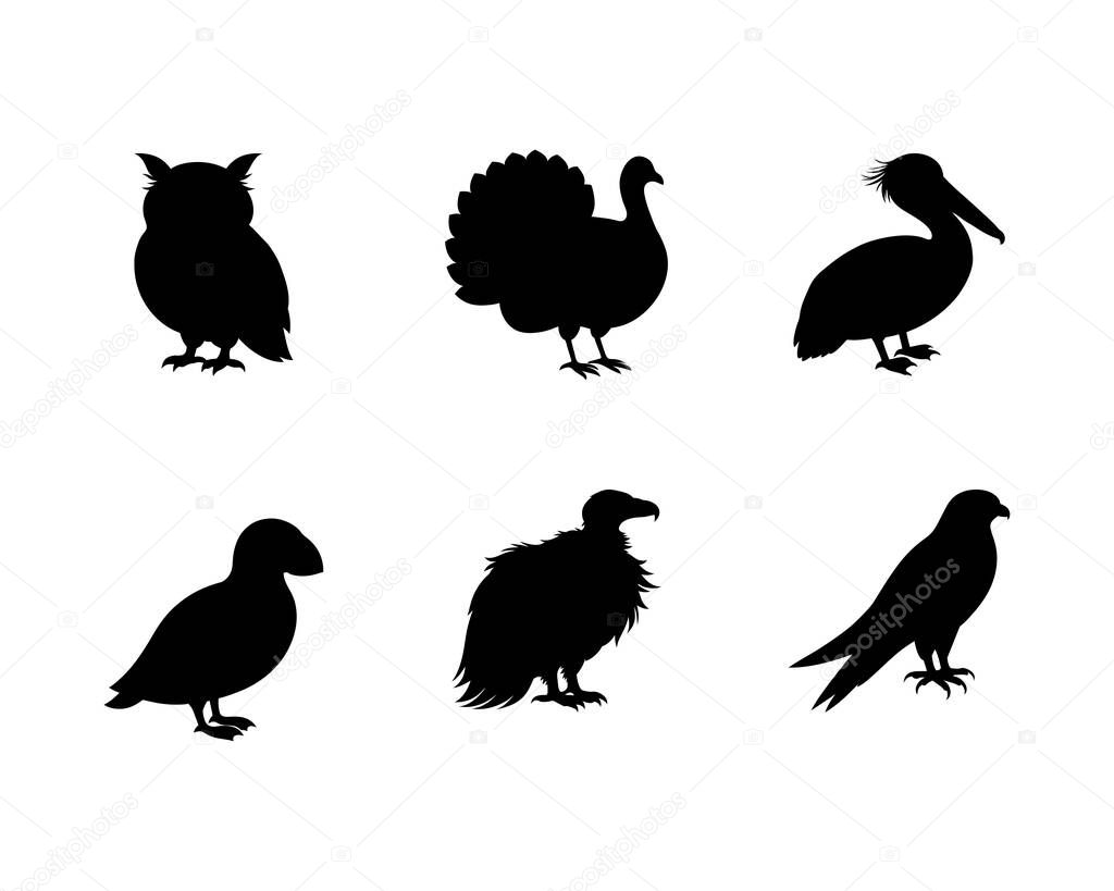 Silhouette Collection of Diverse Bird Species Owl Turkey Pelican Puffin Vulture Falcon