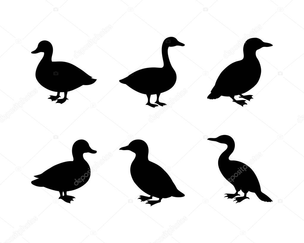 Six Silhouettes of Ducks and Cormorants Wildlife Set