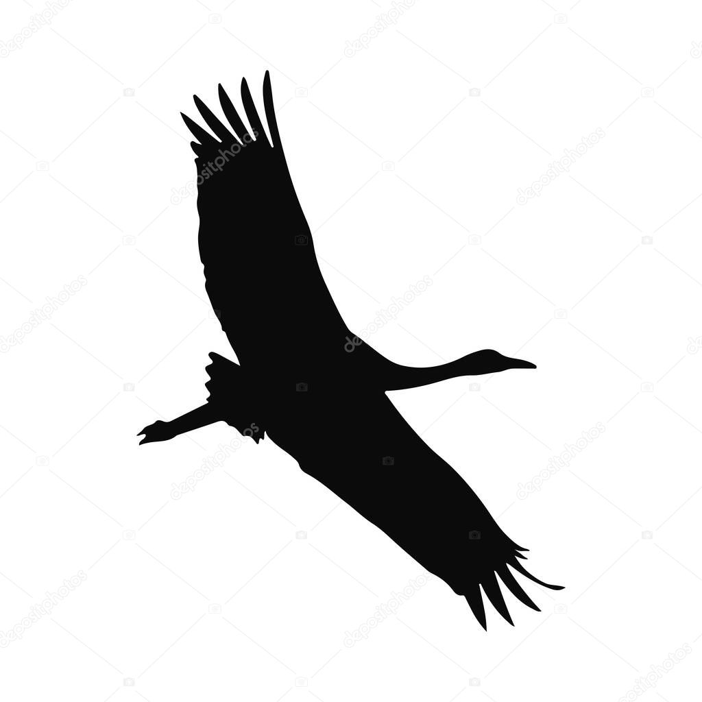 Majestic Crane in Flight Silhouette for Design Projects