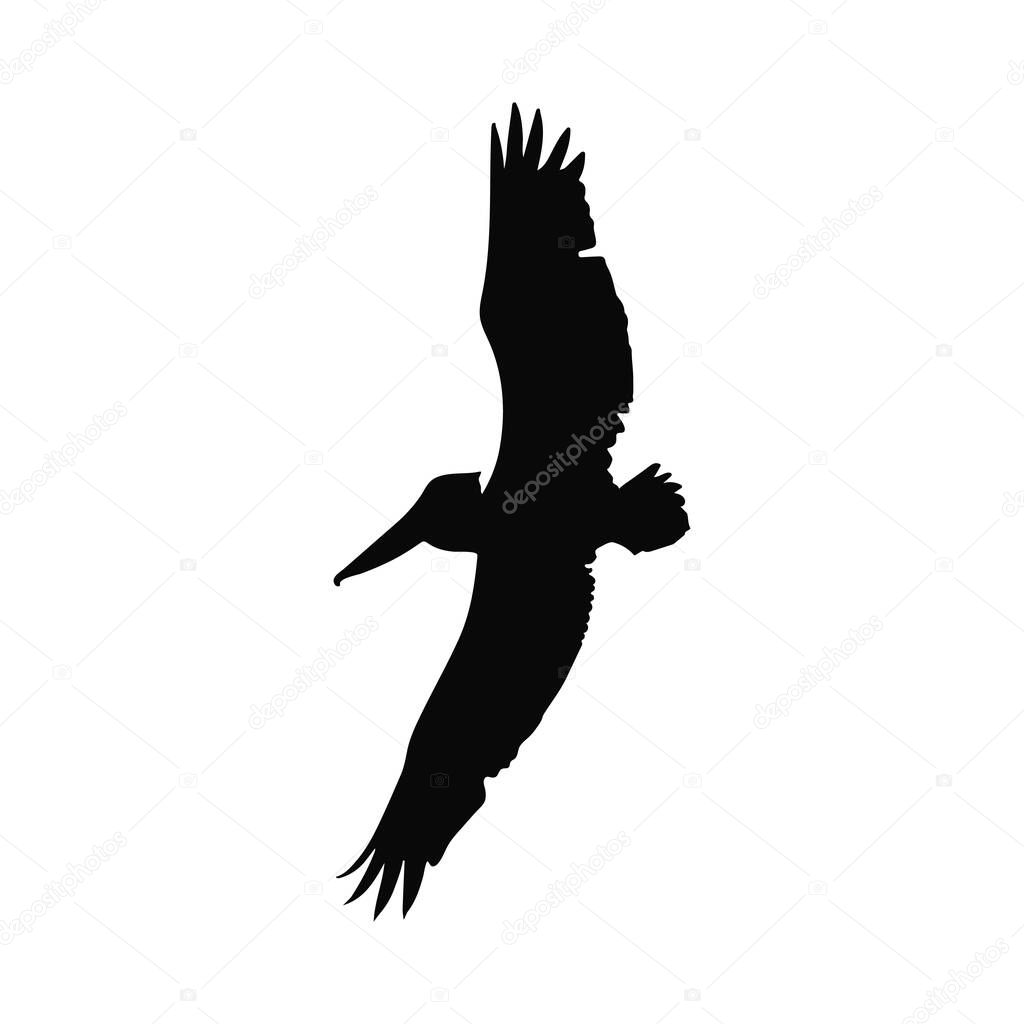 Majestic Pelican in Flight Silhouette for Design Projects