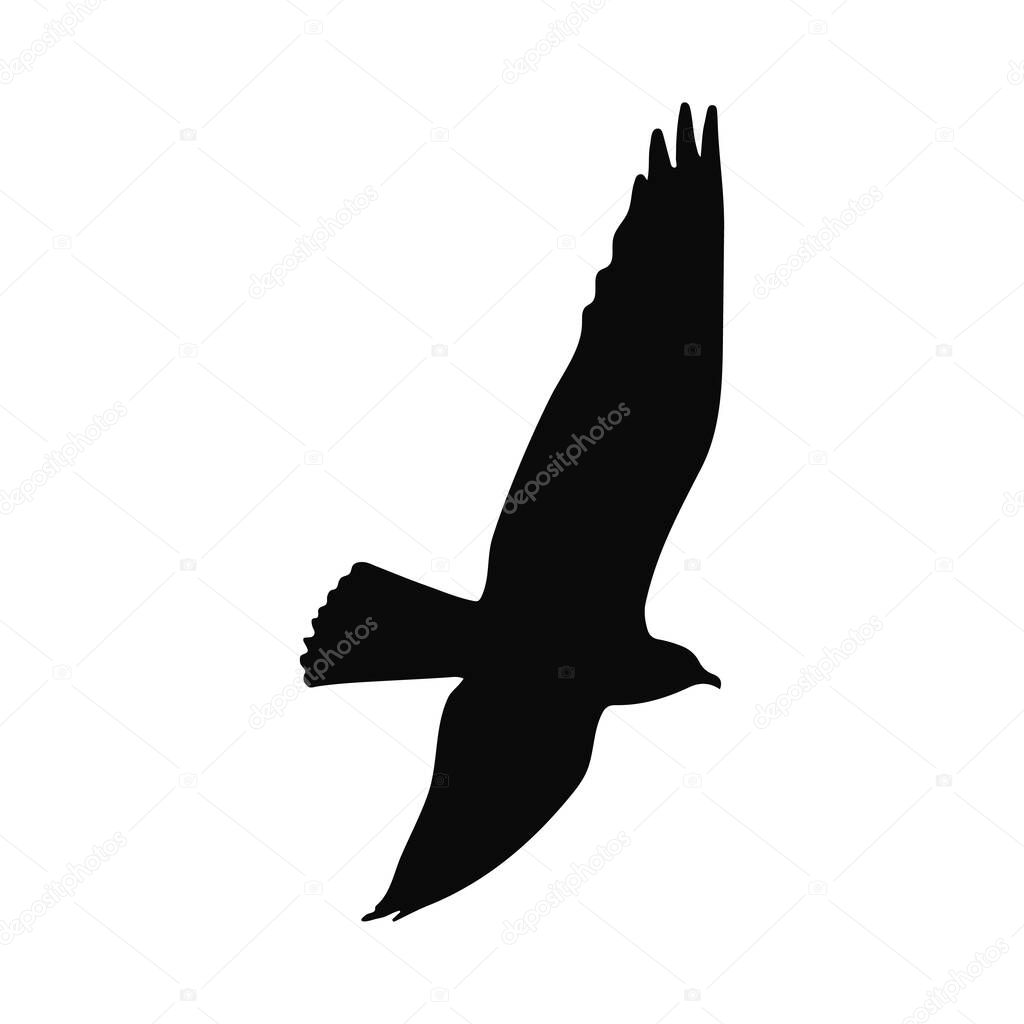 Majestic Bird in Flight Silhouette Perfect for Nature Designs