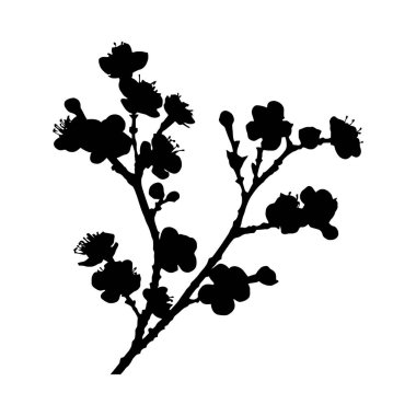 Bir erik dalının çarpıcı siyah silueti tam çiçeklenmiş, resmedilmiş bir stili sergiliyor..