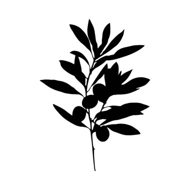 Üç dut ve ayrıntılı yapraklardan oluşan basit ama zarif bir zeytin dalı silueti. Ayırt edici stili minimalist ve grafiktir..