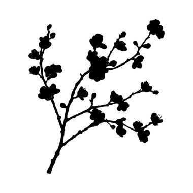 Çiçek açan bir dalın çarpıcı siyah beyaz silueti, cesur, grafik bir stil sergiliyor..