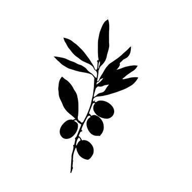 Basit ama zarif bir zeytin dalı silueti, birkaç zeytin dalı ile, minimalist bir stili sergiliyor..