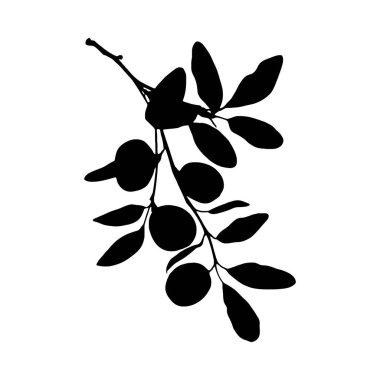 Meyve ve yapraklarla dolu bir narenciye dalının çarpıcı siyah beyaz silueti. Basit biçim çeşitli tasarım uygulamaları için mükemmeldir.