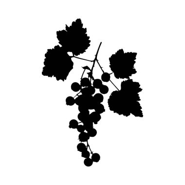 Böğürtlen ve yapraklarla kırmızı üzümlü bir dalın basit, zarif bir silueti. Ayırt edici özelliği koyu siyah siluet tarzıdır..