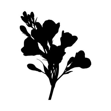 Çiçek açan bir dalın çarpıcı siyah beyaz silueti, cesur, grafik bir stil sergiliyor..