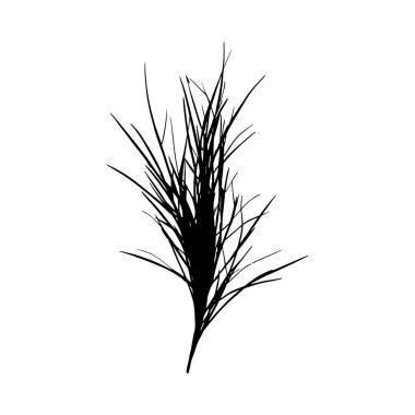 Ayrıntılı, tek bir çim bıçağı silueti, belirgin, ince bir stil sergiliyor..