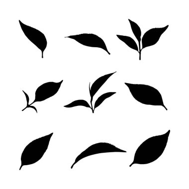 Çeşitli çay yaprağı siluetleri, basit siyah beyaz bir dizayn içinde çeşitli şekil ve stilleri sergiliyor..