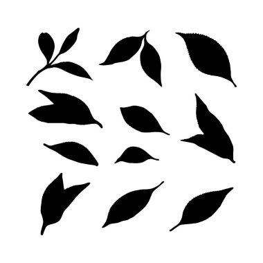 Bir dizi çay yaprağı silueti, benzersiz, resmedilmiş bir stili sergiliyor..