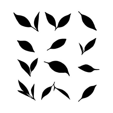 Oniki eşsiz çay yaprağı silueti, çeşitli şekil ve açıları sergiliyor..